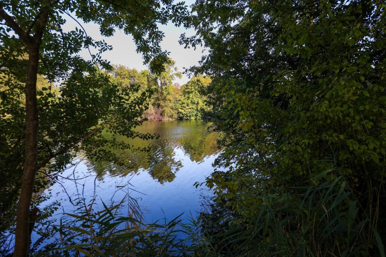Le Saint Martin #Centre Ville #Charente #6Pers Коняк Екстериор снимка